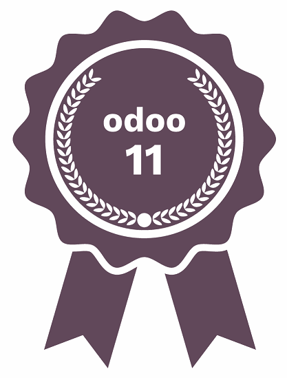 Odoo text and image block